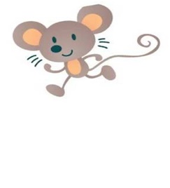 myš